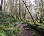 The Triangle Lake Trail on the Sunshine Coast
