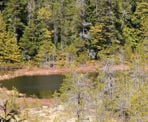 A view of Triangle Lake north of Sechelt near Sargeant Bay