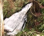 A small waterfall near the start of the trail to Triangle Lake