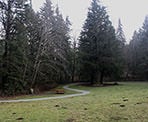 Picnic area in Tynehead Regional Park near the Serpentine River