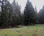 Picnic area in Tynehead Regional Park near the Serpentine River