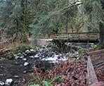 A bridge across the Serpentine River near the picnic area in Tynehead Regional Park