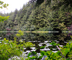 A small lake along the Vedder Ridge Trail near Vedder Mountain
