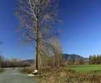 The Vedder River Rotary Trail has many benches to stop and enjoy the views