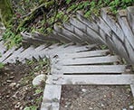 Wooden stairs on the Velodrome Trail up Burnaby Mountain