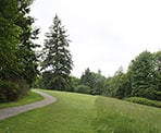The path rounds the tree to the Japanese Totem Poles on Burnaby Mountain