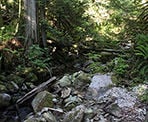 Nelson Creek next to the trail to Whyte Lake in West Vancouver