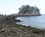 The large rocky sits off the shore at Whytecliff Park