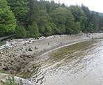 A view of the rocky beach area at Whytecliff Park