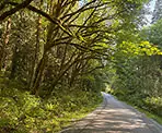 The Quarry Road route in Widgeon Marsh Regional Park