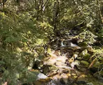 Stewart Creek along Quarry Road in Widgeon Marsh Regional Park