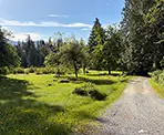 The meadow in Widgeon Marsh Regional Park