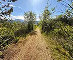 The Meadow Trail in Widgeon Marsh Regional Park