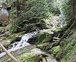 Woodland Falls in Pinecone Burke Provincial Park, Coquitlam