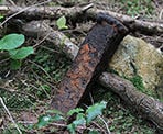 Old logging debris in Pinecone Burke Provincial Park in Coquitlam, BC