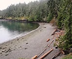 The beach near Yeo Point on Salt Spring Island