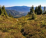 A view looking down the valley along the Zoa Peak Trail