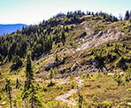 The alpine area along the Zoa Peak Trail in the Coquihalla Summit Recreation Area