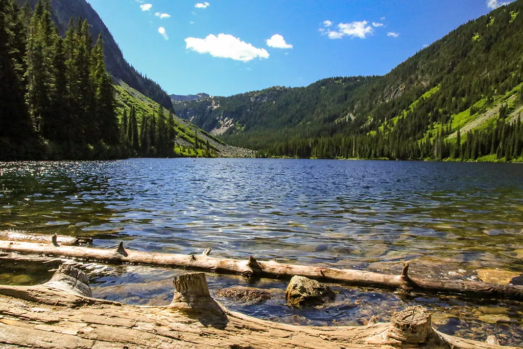 Falls Lake Trail in the Coquihalla Recreation Summit Area ...