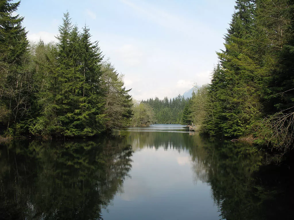 Rice Lake hike near North Vancouver, BC | Vancouver Trails