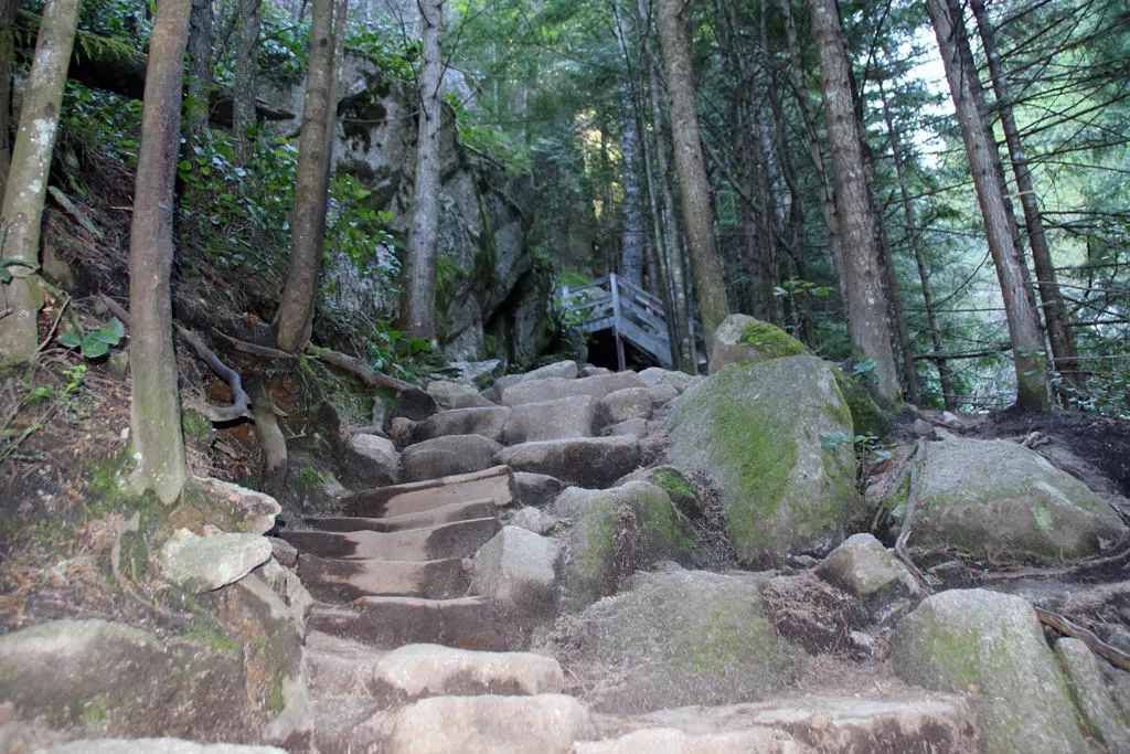 Sea To Summit Trail in Squamish