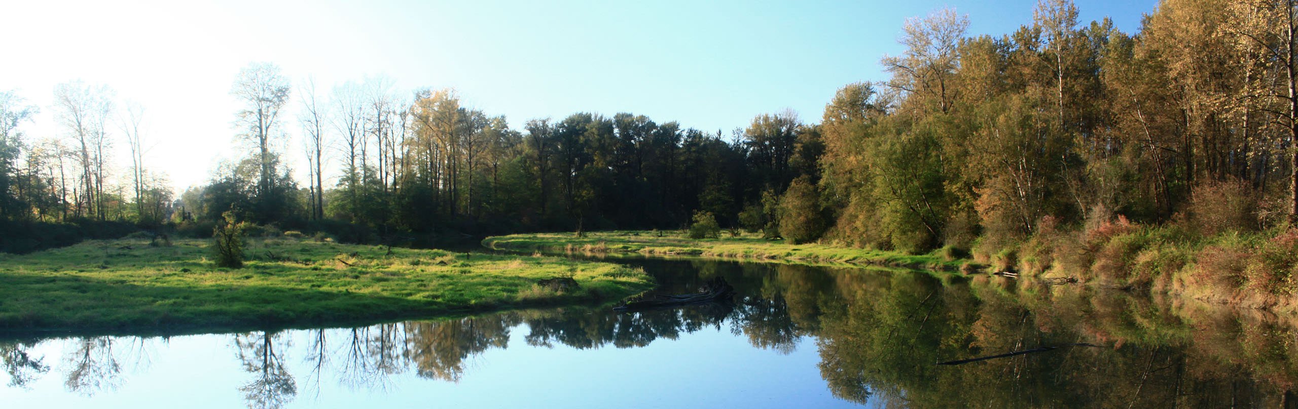 Ridge Meadows