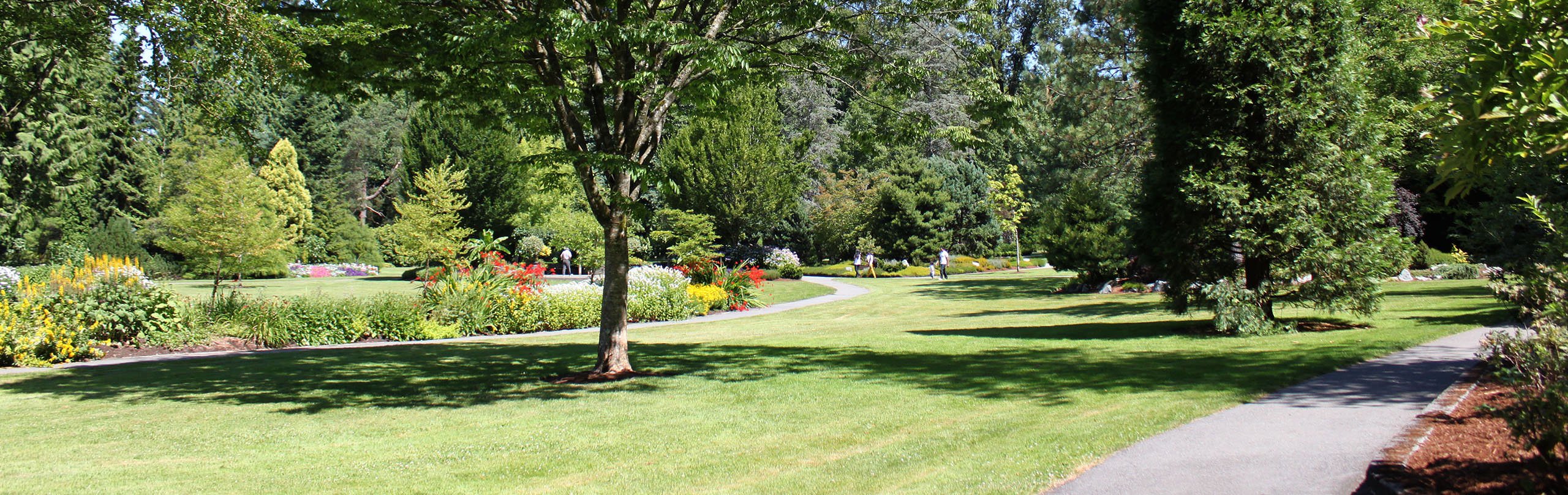 Surrey and Langley